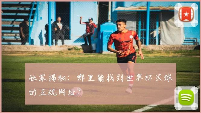 独家揭秘:哪里能找到世界杯买球的正规网址?