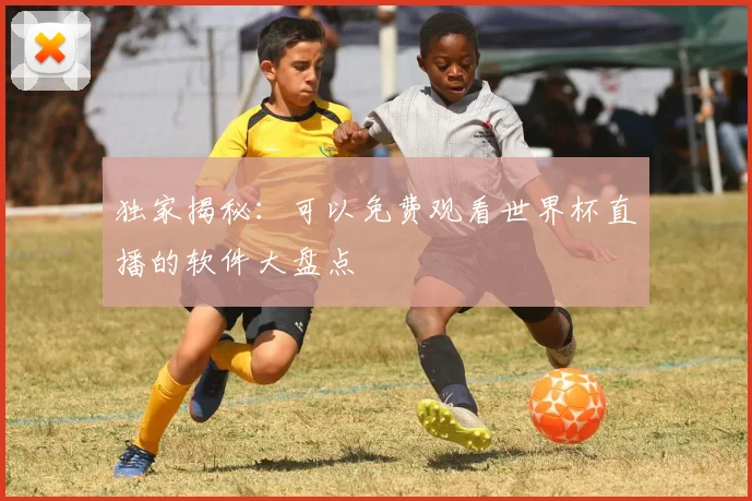 独家揭秘:可以免费观看世界杯直播的软件大盘点