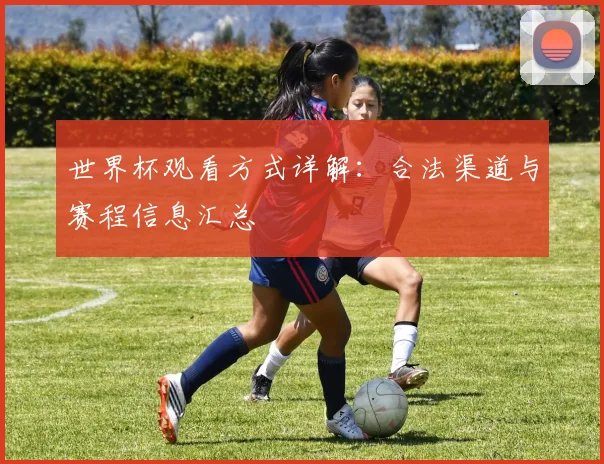 世界杯观看方式详解：合法渠道与赛程信息汇总