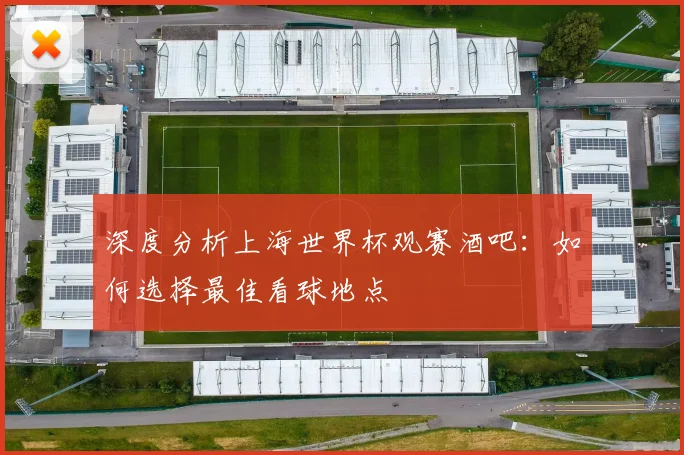 深度分析上海世界杯观赛酒吧：如何选择最佳看球地点