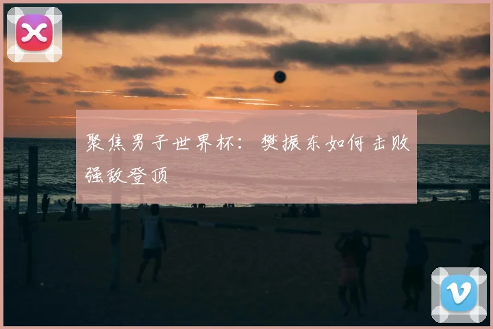 聚焦男子世界杯：樊振东如何击败强敌登顶