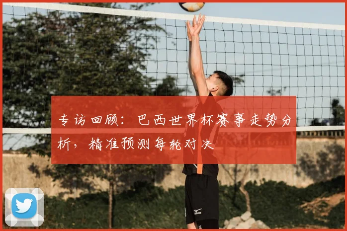 专访回顾:巴西世界杯赛事走势分析,精准预测每轮对决