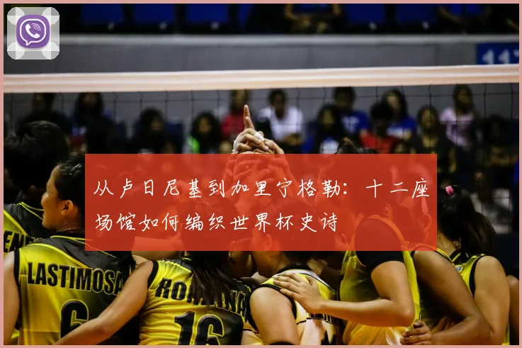 从卢日尼基到加里宁格勒：十二座场馆如何编织世界杯史诗