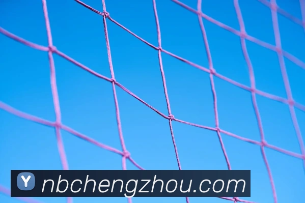 米兰app体育登录入口APP 封面图